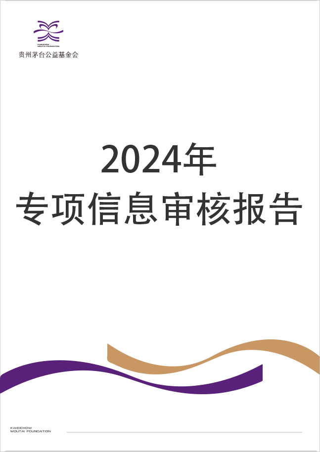 2024年专项审计报告